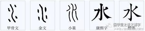 三個水是什麼字|說文解字：水，沝，淼，㵘